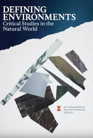 Defining Environments front page cover